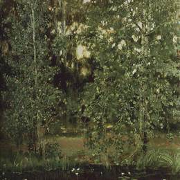 维克托·米哈伊洛维奇·瓦斯涅佐夫(Viktor Vasnetsov)高清作品:Pond in Ochtir