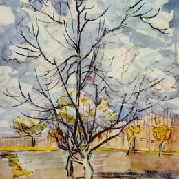 《桃桃树》文森特·梵高(Vincent van Gogh)高清作品欣赏