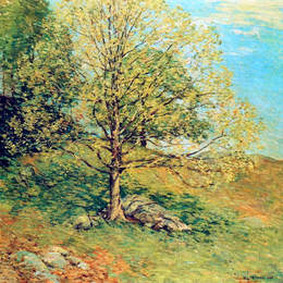 《芽接栎》乌伊拉德·梅特卡夫(Willard Metcalf)高清作品欣赏