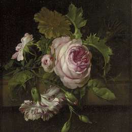 《花木静物》威廉凡·万·艾斯特(Willem van Aelst)高清作品欣赏