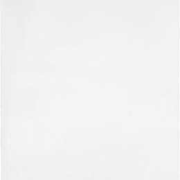 《白色单色》伊夫·克莱因(Yves Klein)高清作品欣赏