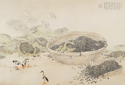 一地阳光
