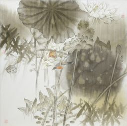 荷花著雨相争秀