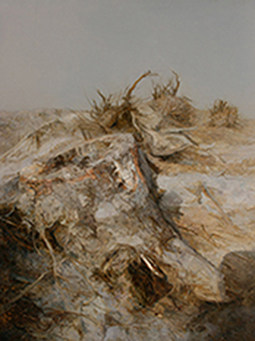 景物2008