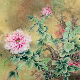 《花中她是王》
