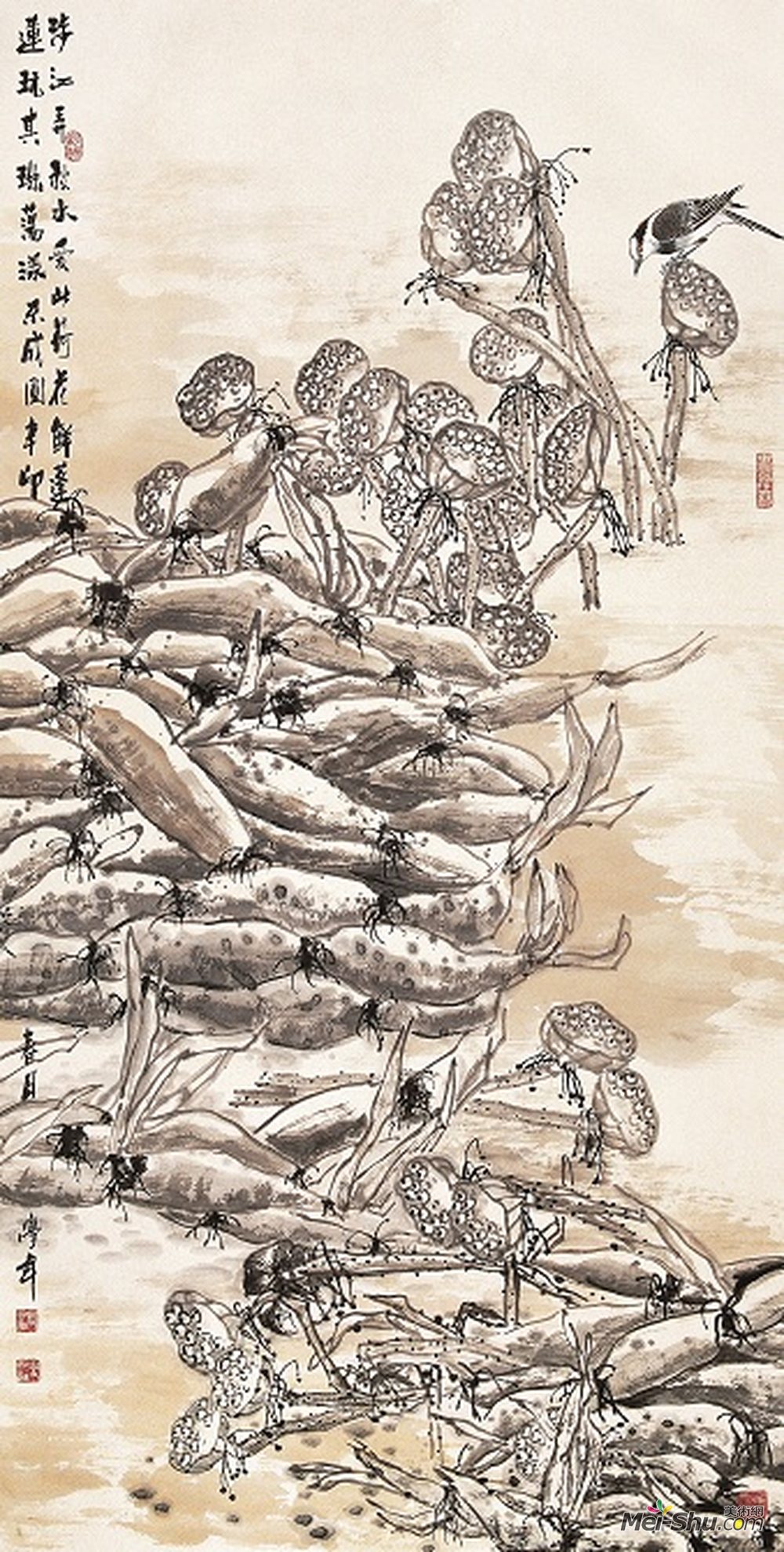 塘间戏藕