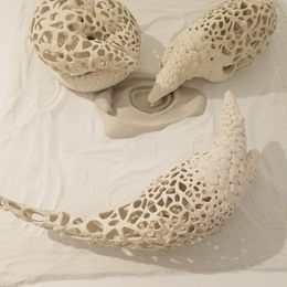 《鲮鲤之殇》秦怡作品