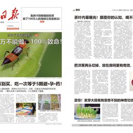 《我的日报》张晟作品