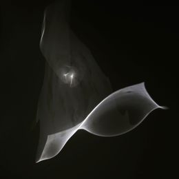 《镜影5》王雪钰作品