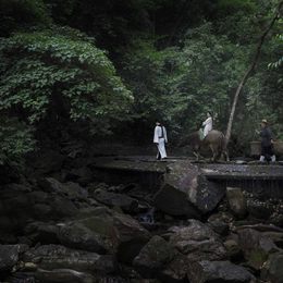 《客从何处来》赖炜炜作品