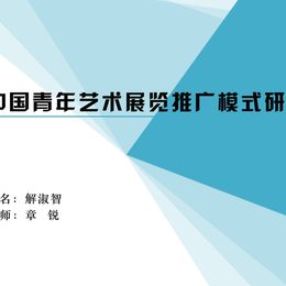 《中国青年艺术展览推广模式研究》解淑智作品