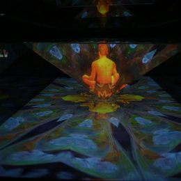 《冥想2》陈龙作品