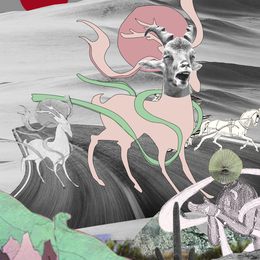 《七色鹿》张博凡作品