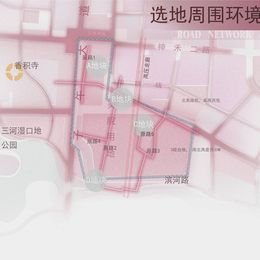 《双生的融合空间(分析图19)》李若男作品