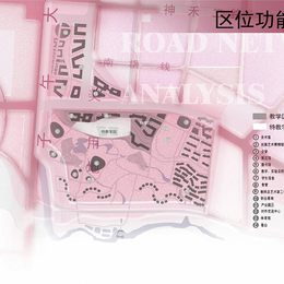 《双生的融合空间(分析图20)》李若男作品