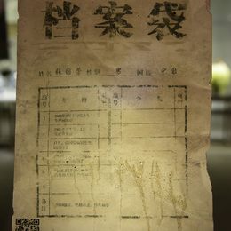 《灰色地带(9)》林鑫波作品