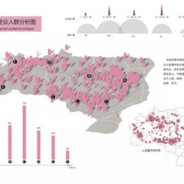 《双生的融合空间(分析图13)》李若男作品