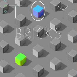 《TOY BRICKS》李璐辰作品