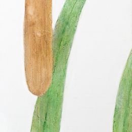 《诗·扬之水》刘念作品