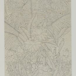 《彩云之南》史泽楠作品