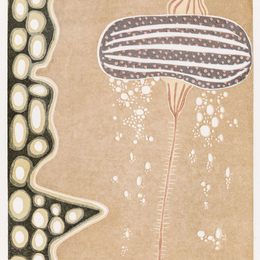 《生命的细节系列3》杨希作品