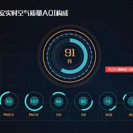 《空气质量数据可视化-动态 4》张旭臻作品