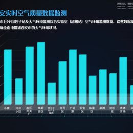 《空气质量数据可视化-动态 3》张旭臻作品