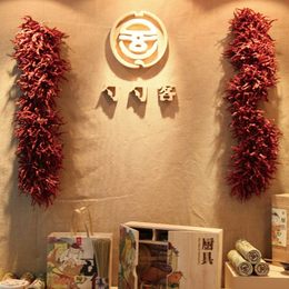 《勺勺客1》卫华梅作品