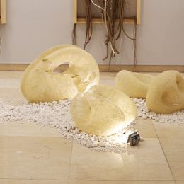 《循-2》姜山作品