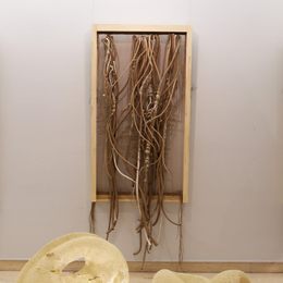 《循-1》姜山作品