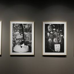 《展览现场》张宇慧作品